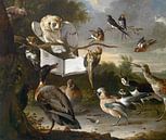Vogelconcert, Melchior d'Hondecoeter van Meesterlijcke Meesters thumbnail