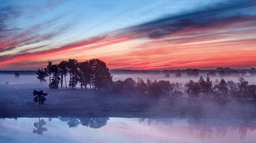 Red and blue sky during sunrise on a misty wetland_1 by Tony Vingerhoets