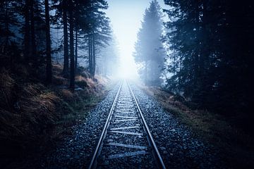 Ontsnap naar het mystieke Harz gebergte van Oliver Henze