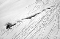 Skiing Powder, Lorenzo Rieg by 1x thumbnail