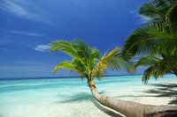 Île tropicale