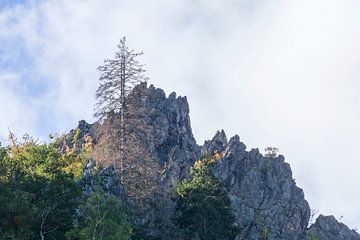 Bodetal, Thale, Harz gebergte van Torsten Krüger