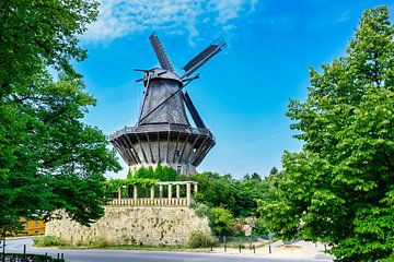 Windmolen in paleis Sanssouci in Potsdam van Andreas Völkel