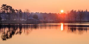 Lever de soleil avec reflet dans l'eau | Utrechtse Heuvelrug, Pays-Bas