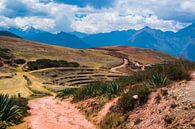De heilige vallei, Peru van Rietje Bulthuis thumbnail