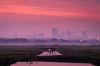 Zonsopkomst bij de Skyline van Rotterdam