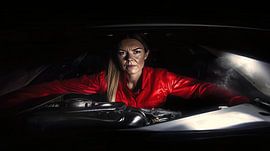 Monteur van Frank Heinz