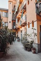 La paix dans l'arrière-cour | Milan Italie