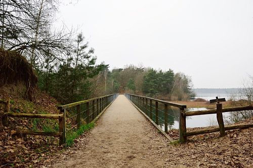 Crossing the lake