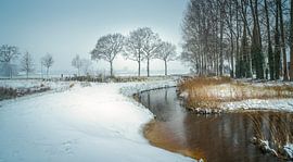 wouwerbeek in Bavel von Peter Smeekens