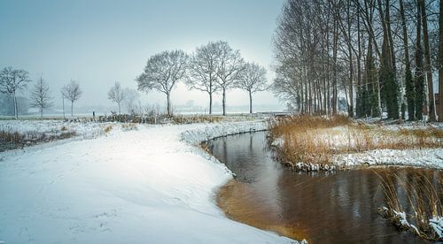 wouwerbeek à Bavel