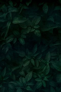Smaragdgrüne Blätter