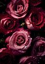 Roses by Lae thumbnail