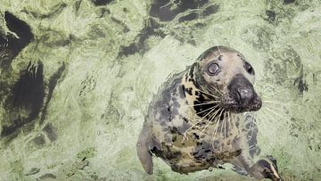 Haben Sie etwas für mich?