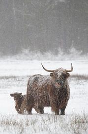 Sicher bei Mutti von Laura Vink