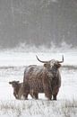 Safe with Mommy by Laura Vink thumbnail