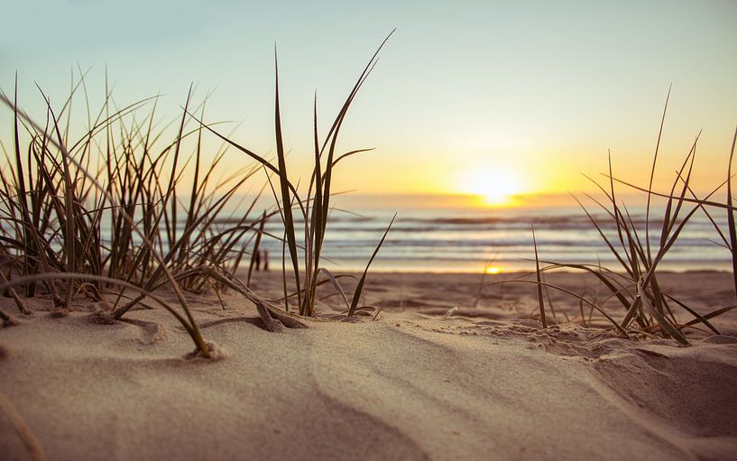 Sandstrand mit Gräser von Gabi Siebenhühner