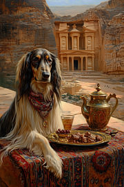 Afghanischer Windhund in Petra von Erika Kaisersot