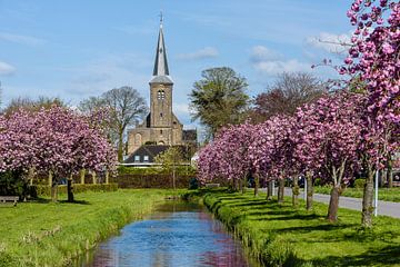 12 e eeuwse Willibrordkerk in Nederhorst den Berg, Wijdemeren, Noord Holland, Netherlands van Martin Stevens