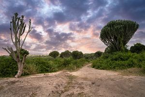 Queen Elizabeth Nationalpark, Uganda