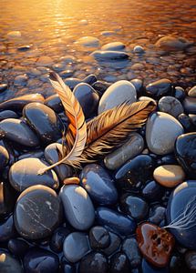 Feder am Strand