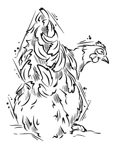 Huhn Line Art von Antiope33