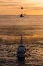 USCG Jayhawk's in actie boven de kust van San Diego, USA van Jimmy van Drunen thumbnail