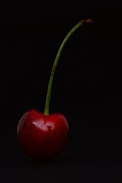 rote Kirsche von Anneliese Grünwald-Märkl