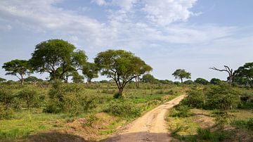 Murchison Falls National Park, Uganda by Alexander Ludwig