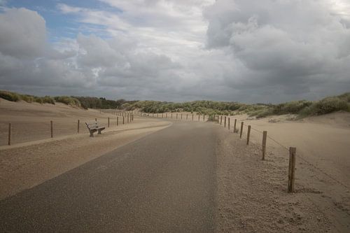 The dunes in Ouddorp, Netherlands