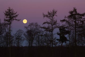 Montferland, Zeddam sur Natuurlijk Achterhoek