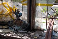 Abandoned doll