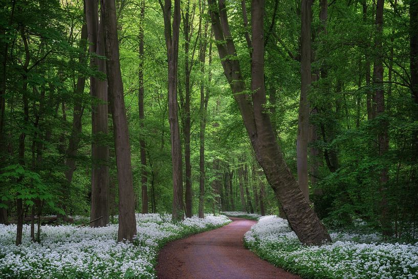 Stinkende Straße von Martin Podt