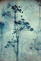 WATERSONG