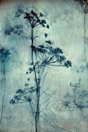 CHANT D'EAU sur RAR KRAMER - Visual poet