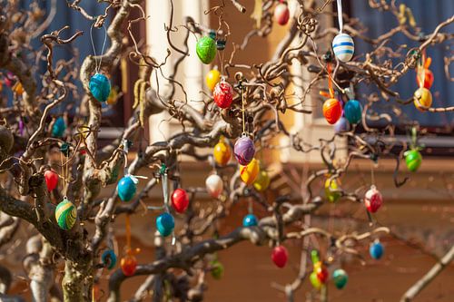Bunte Ostereier als Dekoration an Baumzweigen in einem Vorgarten