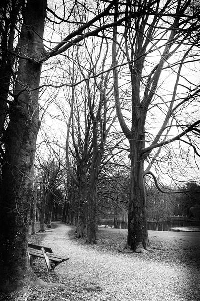 Take some time by Dorien Bunt