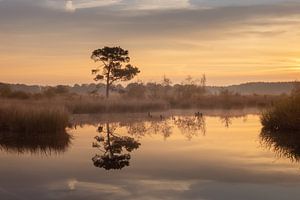 Das schöne Drenthe am Morgen