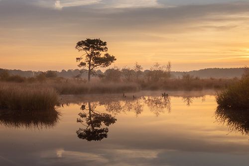 Prachtig Drenthe in de ochtend