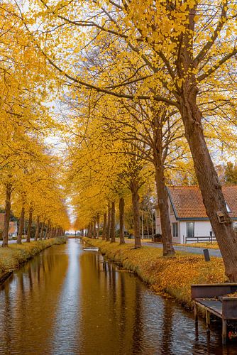 Autumn in Friesland 2