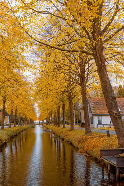 L'automne en Frise 2 par Marcel Kieffer