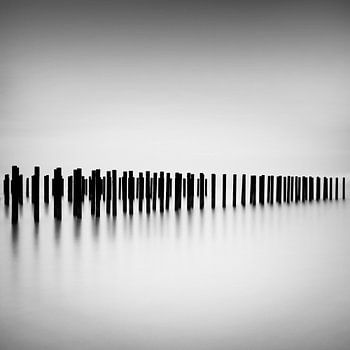 IIIIIIIIIIIIIIIIIIII