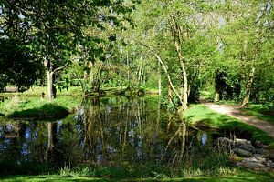 St. Fiachra's Garten
