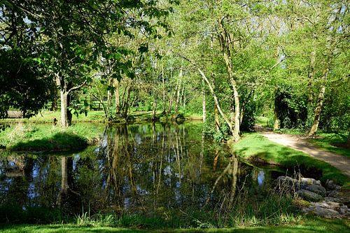 St. Fiachra's Tuin