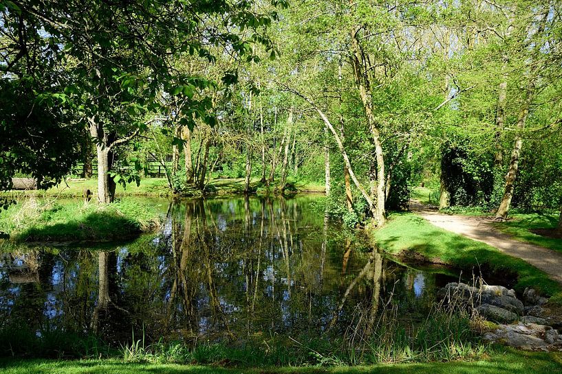 St. Fiachra's Garden by Frank's Awesome Travels