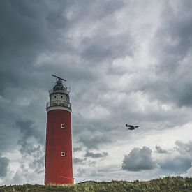 Texel-Landschaft mit Leuchtturm und Möwe von Dennis Langendoen