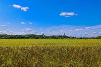 Schwanenburg und Stiftskriche Kleve