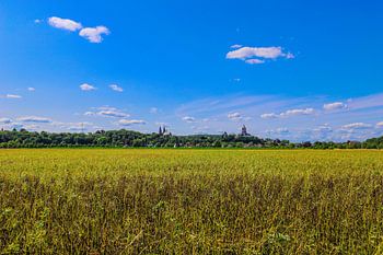 Kasteel Schwanenburg en de collegiale kerk van Kleef