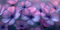 Purple flowers