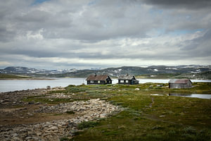 The landscape of Hardangervidda in Norway